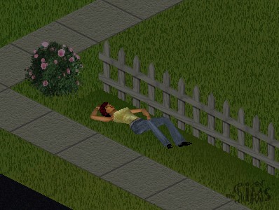 The Sims - a night picture